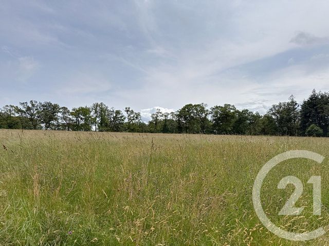 Maison &agrave; vendre - 15 pi&egrave;ces - 421,10 m2 - St Jean La Poterie - 56 - BRETAGNE