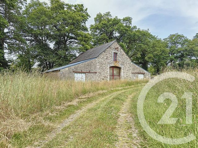 Maison &agrave; vendre - 15 pi&egrave;ces - 421,10 m2 - St Jean La Poterie - 56 - BRETAGNE