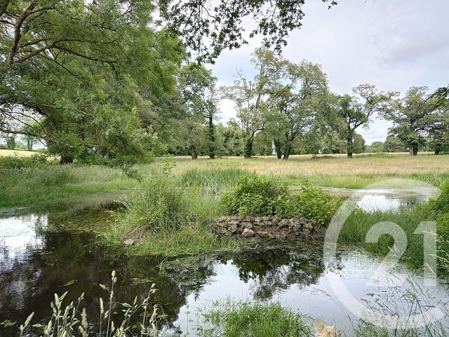 Maison &agrave; vendre - 15 pi&egrave;ces - 421,10 m2 - St Jean La Poterie - 56 - BRETAGNE