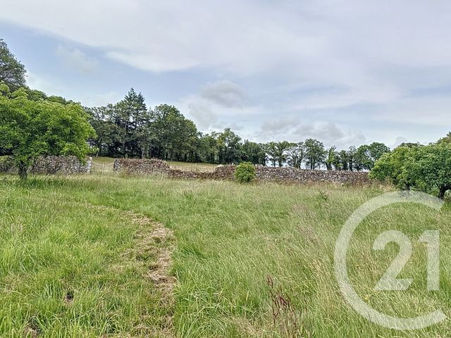 Maison &agrave; vendre - 15 pi&egrave;ces - 421,10 m2 - St Jean La Poterie - 56 - BRETAGNE