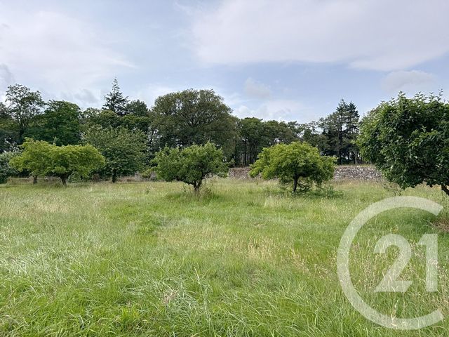 Maison &agrave; vendre - 15 pi&egrave;ces - 421,10 m2 - St Jean La Poterie - 56 - BRETAGNE