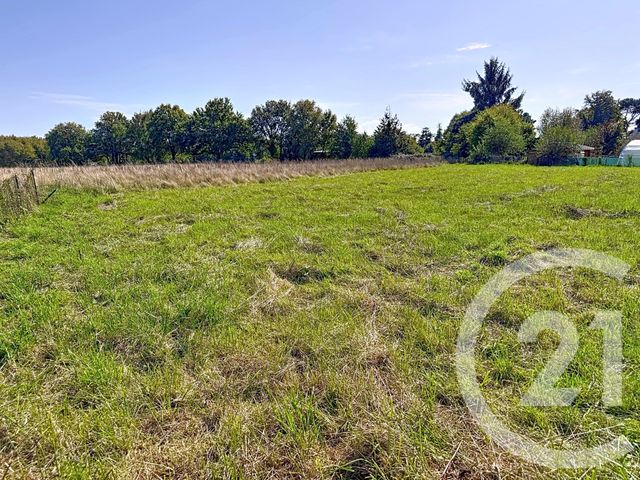 terrain - ST VINCENT SUR OUST - 56