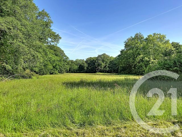 Maison &agrave; vendre - 10 pi&egrave;ces - 273,85 m2 - Bains Sur Oust - 35 - BRETAGNE