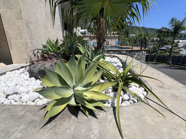 Maison &agrave; vendre - 7 pi&egrave;ces - 351,20 m2 - St Denis - 974 - REUNION