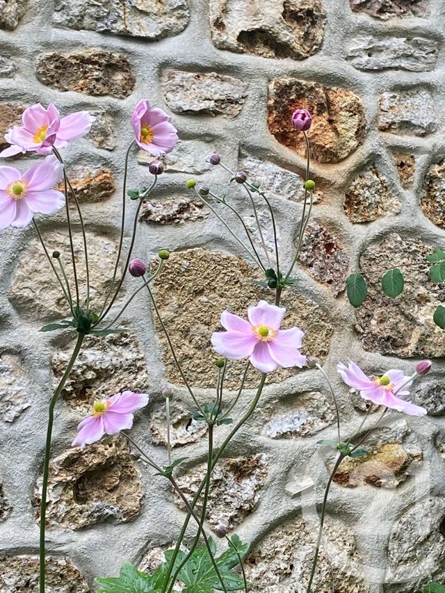 Maison &agrave; vendre - 6 pi&egrave;ces - 95,77 m2 - Vaires Sur Marne - 77 - ILE-DE-FRANCE