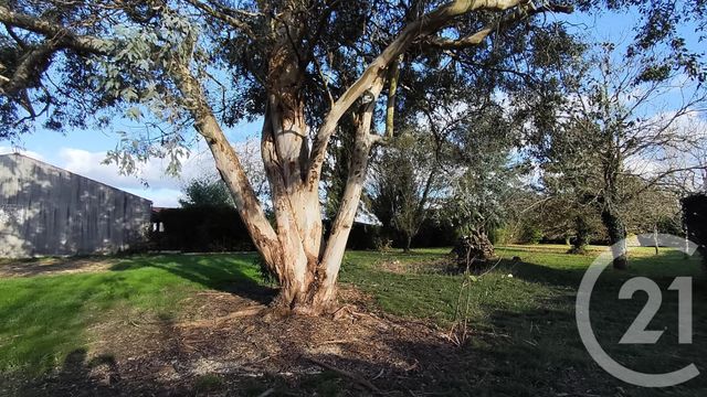 Maison &agrave; vendre - 4 pi&egrave;ces - 93,77 m2 - Rioux - 17 - POITOU-CHARENTES