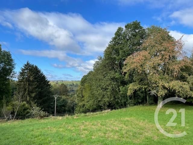 Maison &agrave; vendre - 8 pi&egrave;ces - 165 m2 - Phalsbourg - 57 - LORRAINE