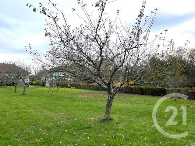 terrain - PLAINE DE WALSCH - 57