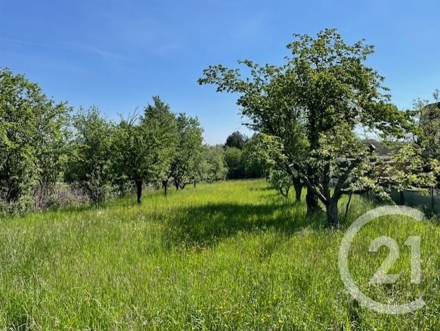 Terrain &agrave; vendre - 1900 m2 - Phalsbourg - 57 - LORRAINE