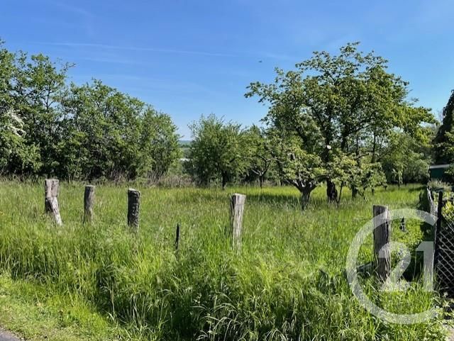 terrain - PHALSBOURG - 57