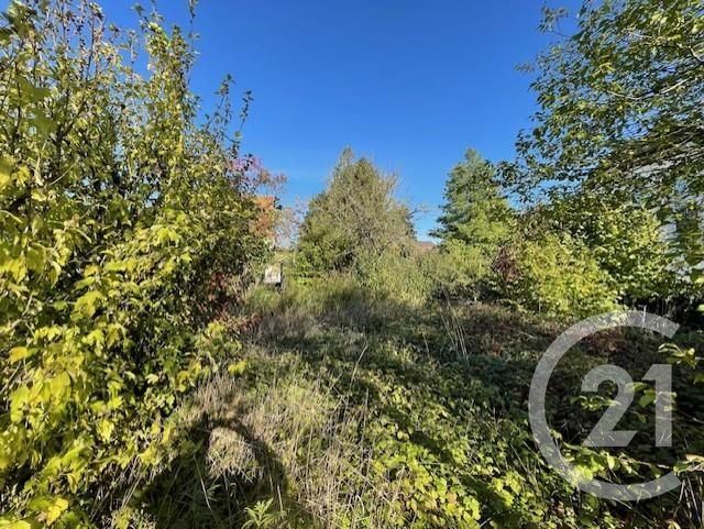 Terrain &agrave; vendre - 1080 m2 - Drulingen - 67 - ALSACE