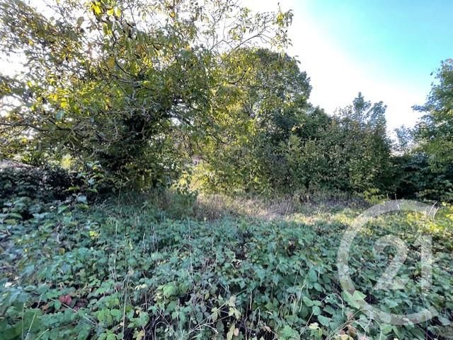 Terrain &agrave; vendre - 1080 m2 - Drulingen - 67 - ALSACE