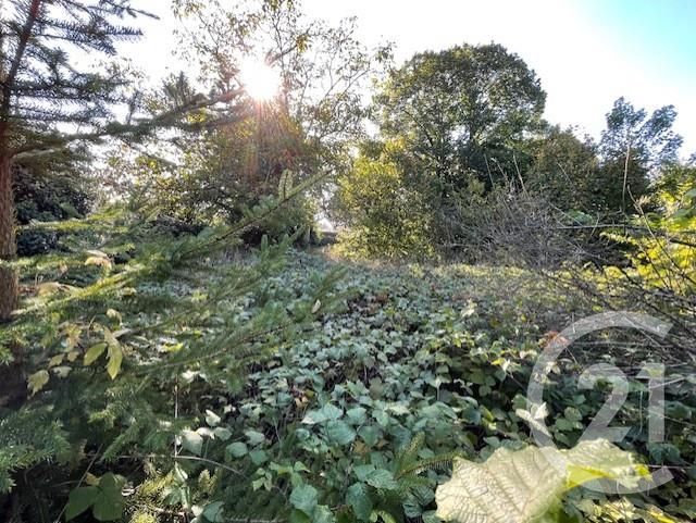 Terrain &agrave; vendre - 1080 m2 - Drulingen - 67 - ALSACE