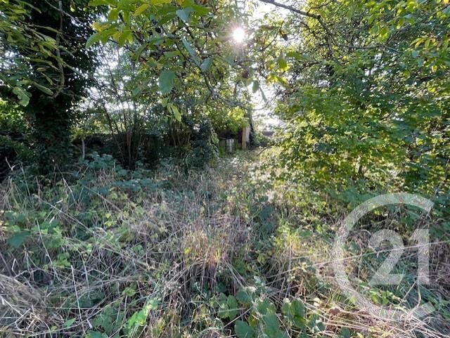 Terrain &agrave; vendre - 1080 m2 - Drulingen - 67 - ALSACE