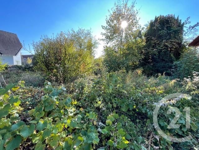 Terrain &agrave; vendre - 1080 m2 - Drulingen - 67 - ALSACE