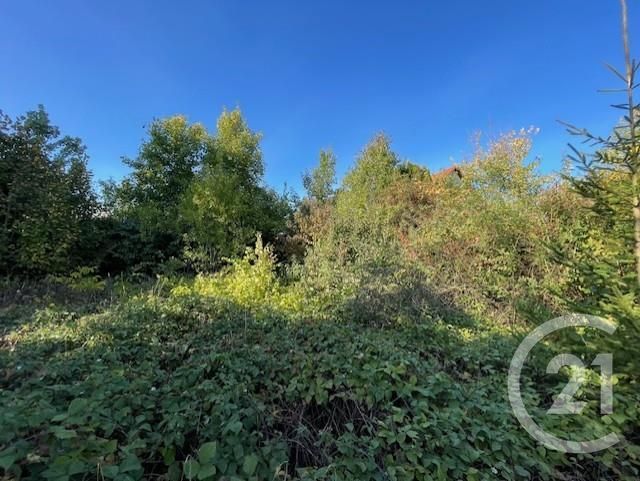 Terrain &agrave; vendre - 1080 m2 - Drulingen - 67 - ALSACE