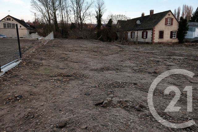 terrain - SAVERNE - 67