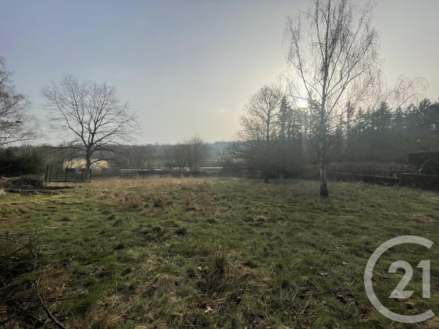Terrain &agrave; vendre - 2960 m2 - Marmoutier - 67 - ALSACE