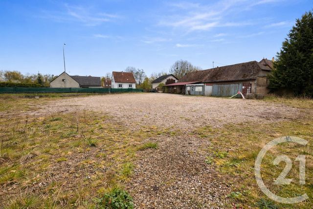 terrain - OTTERSWILLER - 67