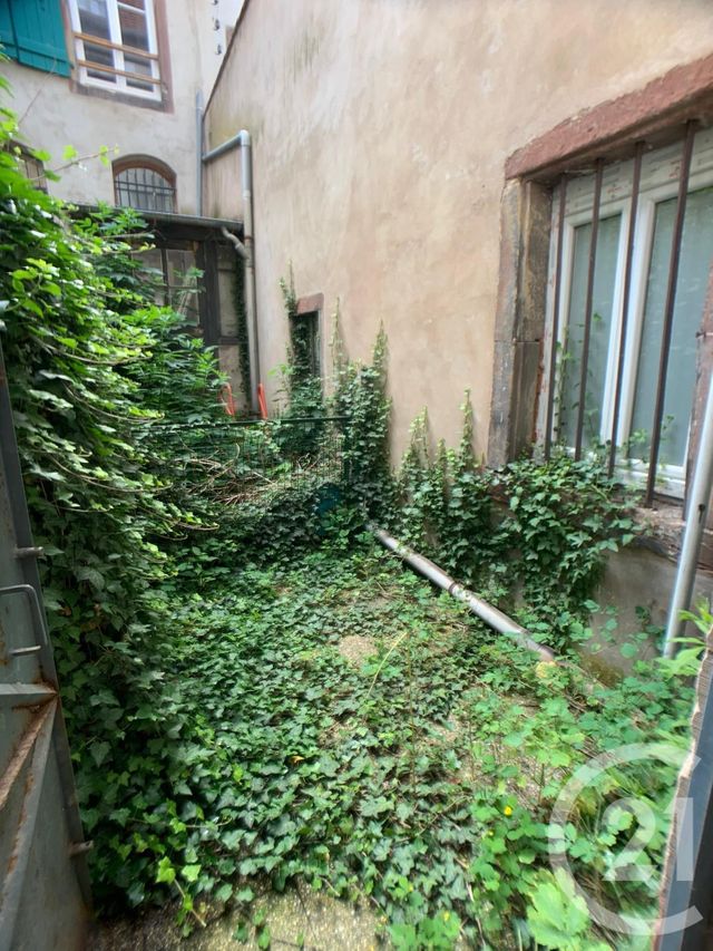 Appartement F3 &agrave; louer - 3 pi&egrave;ces - 55,62 m2 - Saverne - 67 - ALSACE