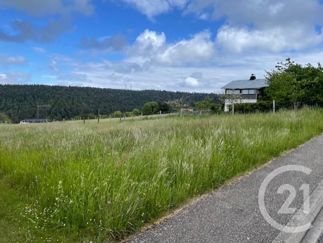 Terrain &agrave; vendre - 960 m2 - Dabo - 57 - LORRAINE