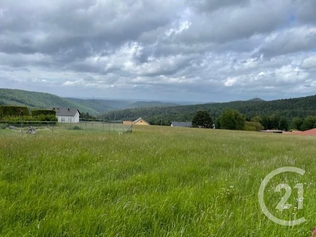 Terrain &agrave; vendre - 960 m2 - Dabo - 57 - LORRAINE