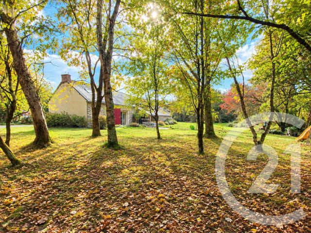 Maison &agrave; vendre - 7 pi&egrave;ces - 178,12 m2 - Plesse - 44 - PAYS-DE-LOIRE
