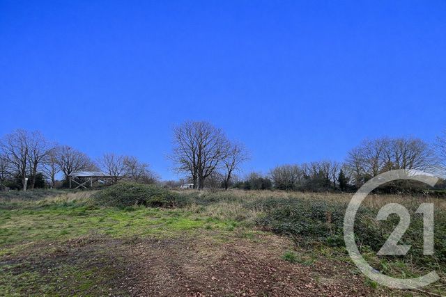 Maison &agrave; vendre - 4 pi&egrave;ces - 113,67 m2 - Bouvron - 44 - PAYS-DE-LOIRE