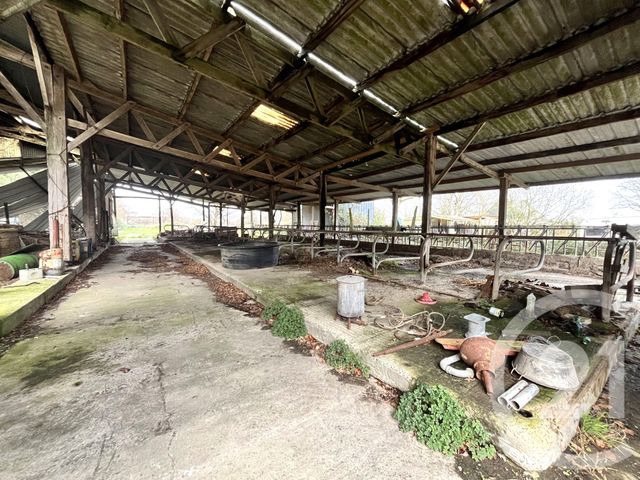 Maison &agrave; vendre - 4 pi&egrave;ces - 113,67 m2 - Bouvron - 44 - PAYS-DE-LOIRE