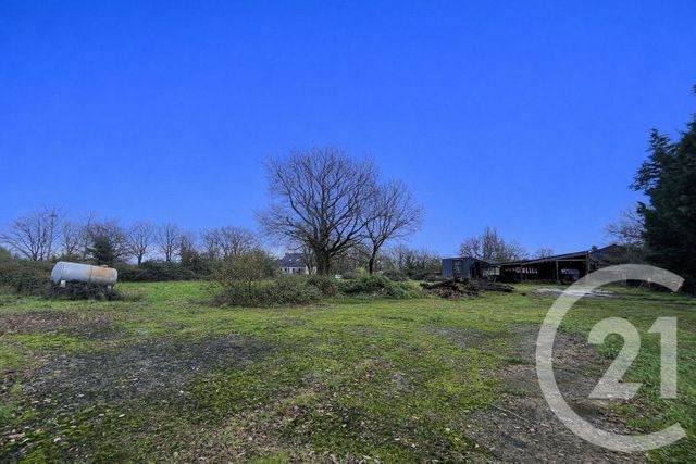 Maison &agrave; vendre - 4 pi&egrave;ces - 113,67 m2 - Bouvron - 44 - PAYS-DE-LOIRE