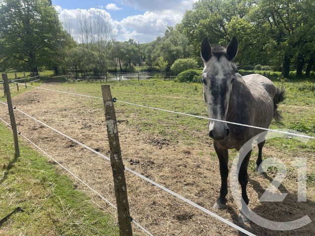 Maison à vendre - 3 pièces - 95 m2 - La Grigonnais - 44 - PAYS-DE-LOIRE