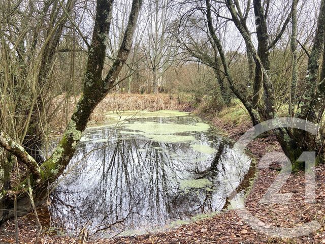 Terrain &agrave; vendre - 2409 m2 - Plesse - 44 - PAYS-DE-LOIRE