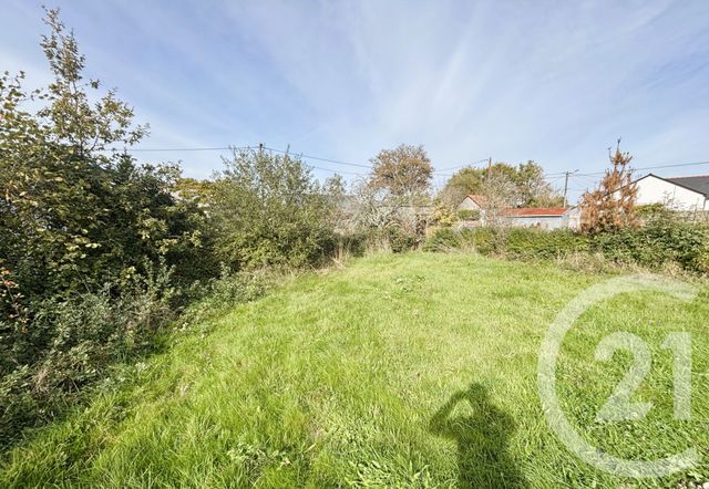 terrain - BLAIN - 44