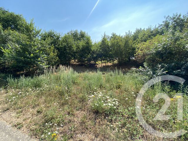 terrain - SAVENAY - 44