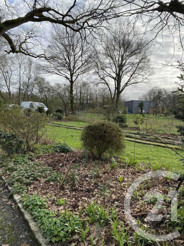 Maison &agrave; louer - 8 pi&egrave;ces - 161,54 m2 - Blain - 44 - PAYS-DE-LOIRE