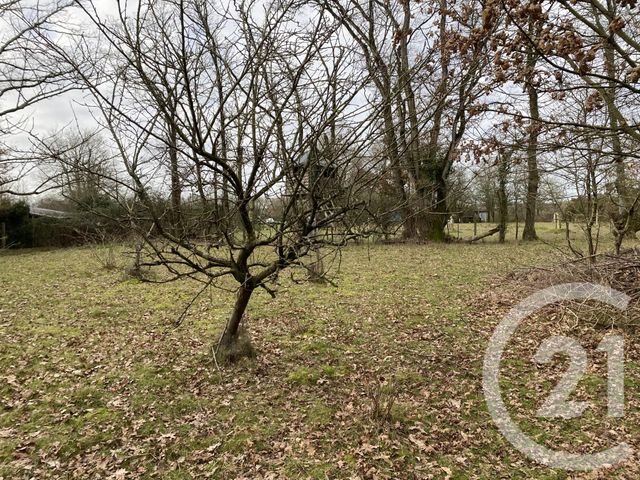 Maison &agrave; louer - 8 pi&egrave;ces - 161,54 m2 - Blain - 44 - PAYS-DE-LOIRE