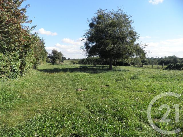 Maison &agrave; vendre - 4 pi&egrave;ces - 118 m2 - Longueville - 50 - BASSE-NORMANDIE