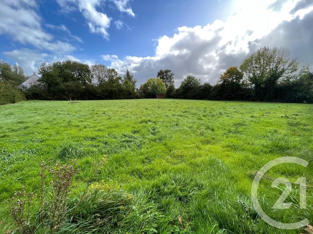 terrain - GENETS - 50