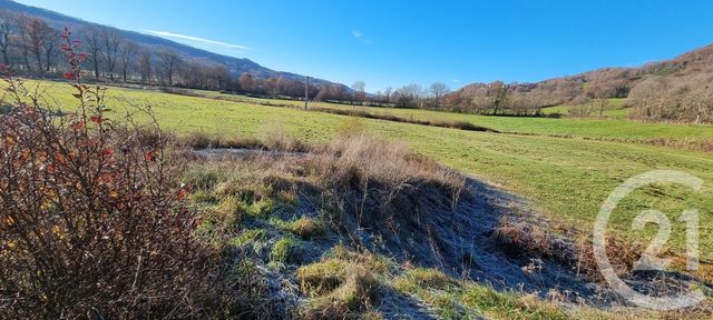 Terrain &agrave; vendre - 13968 m2 - Vic Sur Cere - 15 - AUVERGNE