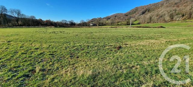 Terrain &agrave; vendre - 13968 m2 - Vic Sur Cere - 15 - AUVERGNE
