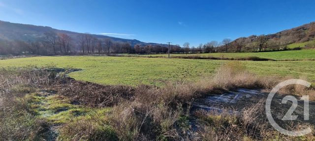 terrain - VIC SUR CERE - 15