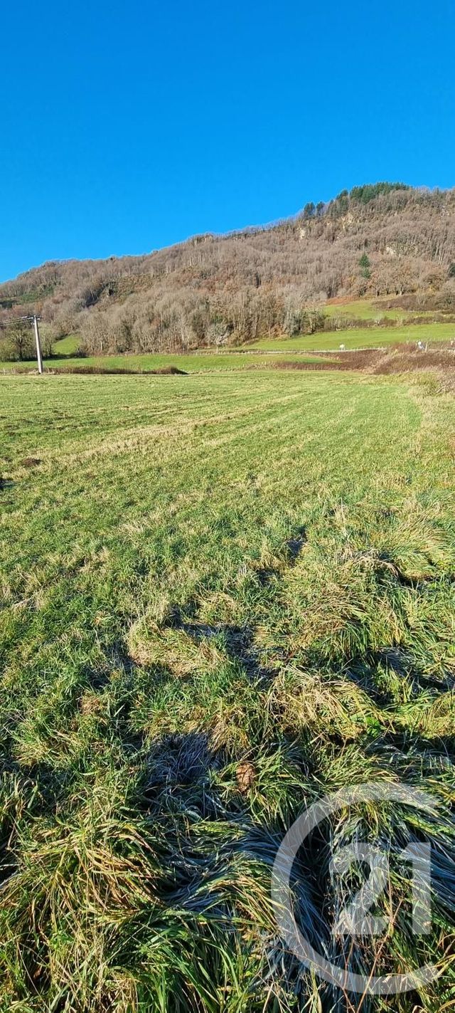 Terrain &agrave; vendre - 13968 m2 - Vic Sur Cere - 15 - AUVERGNE