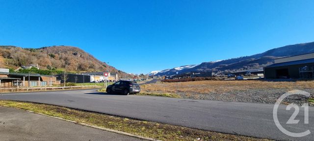 Terrain &agrave; vendre - 13968 m2 - Vic Sur Cere - 15 - AUVERGNE