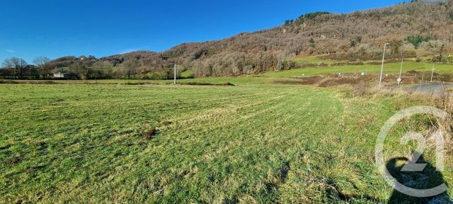 Terrain &agrave; vendre - 13968 m2 - Vic Sur Cere - 15 - AUVERGNE