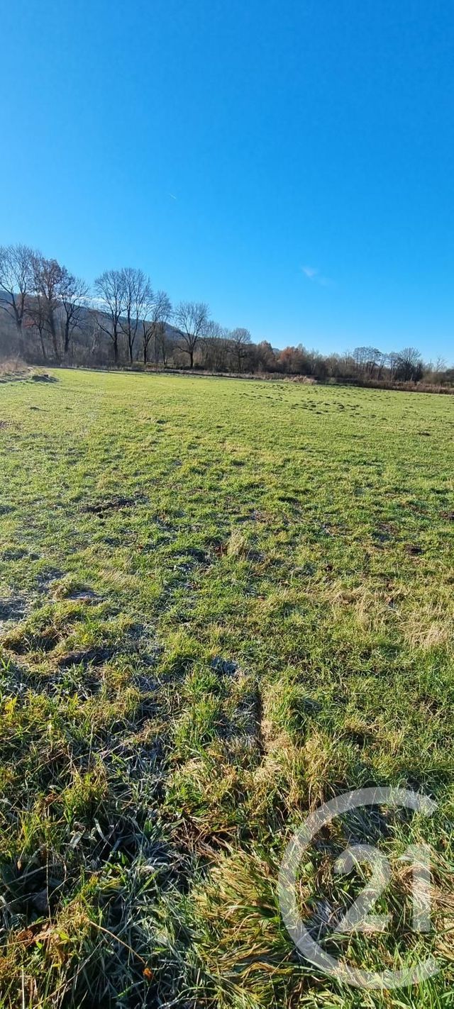 Terrain &agrave; vendre - 13968 m2 - Vic Sur Cere - 15 - AUVERGNE