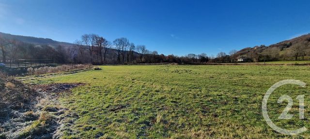Terrain &agrave; vendre - 13968 m2 - Vic Sur Cere - 15 - AUVERGNE
