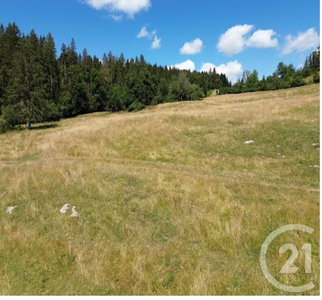 Terrain &agrave; vendre - 1049 m2 - Montbenoit - 25 - FRANCHE-COMTE