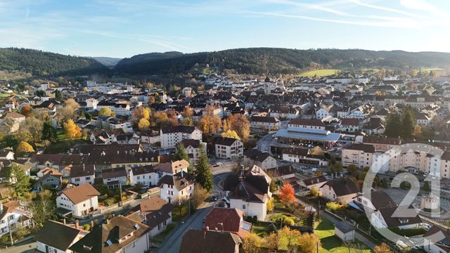 Appartement T3 &agrave; vendre - 3 pi&egrave;ces - 50,04 m2 - Pontarlier - 25 - FRANCHE-COMTE