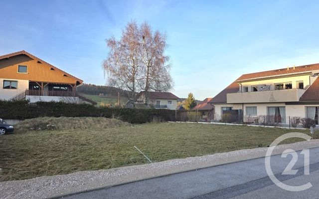 terrain - GILLEY - 25