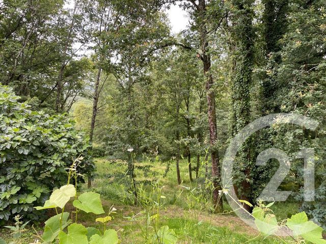 Maison à vendre - 4 pièces - 147 m2 - Brignac La Plaine - 19 - LIMOUSIN